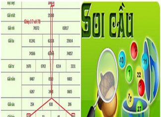 soi-cau-bach-thu-mien-bac