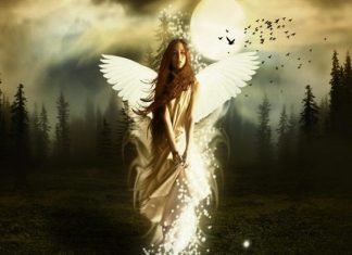 giai-ma-giac-mo-thay-than-tien