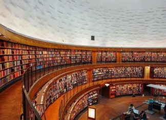 Mơ thấy thư viện là điềm báo lành hay dữ?