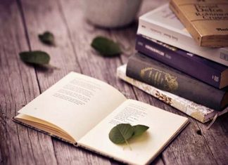 mơ thấy đi mua sánh đánh con gì