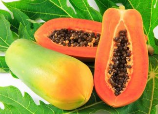 ngu mo thay qua du du