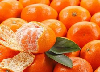 Mơ thấy quả quýt báo mộng điềm hên hay xui? Đánh con số nào?