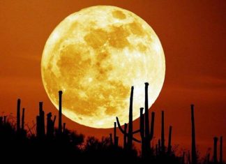 Giải mã ý nghĩa giấc mơ thấy mặt trăng