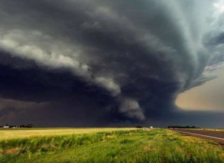 Mơ thấy gió đánh con gì có khả năng đổi đời? Là điềm gì?