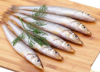 Mơ thấy cá bống điềm báo tốt hay xấu?