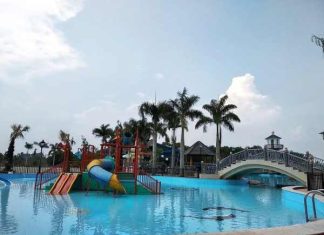 biển nhân tạo Đồng Nai: Kinh nghiệm
