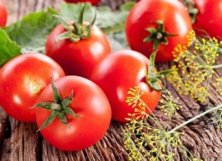 Thấy hình ảnh quả cà chua có cặp số gì đẹp điềm báo gì tốt lành