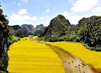 Tìm hiểu  hoạt động du lịch ở Tam Cốc mùa lúa chín