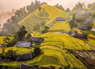 Ruộng bậc thang Hoàng Su Phì - Kiệt tác của thiên nhiên và con người