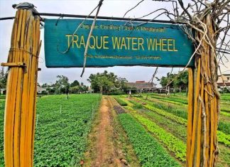 Vị trí và lịch sử của làng rau Trà Quế