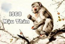 Con số tài lộc tuổi Mậu Thân 6/3/2025 có ý nghĩa gì?