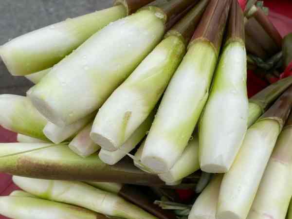 Củ niễng là gì? 