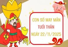 Luận giải con số may mắn tuổi Thân ngày 22/11/2025 siêu chuẩn