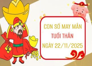 Kích hoạt vận may tuổi Thân với bộ số may mắn 22/11/2025 Luận giải con số may mắn tuổi Thân ngày 22/11/2025 siêu chuẩn