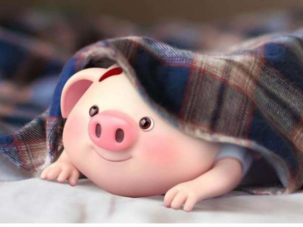 Con số may mắn tuổi Quý Hợi ngày 8/1/2026 theo thần số học