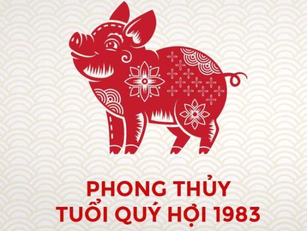 Tử vi tuổi Quý Hợi hôm nay ngày 8/1/2026: vận trình ra sao?