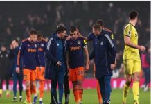 Bóng đá Anh: Newcastle trả giá đắt sau trận thắng Tottenham Bóng đá Anh: Newcastle trả giá đắt sau trận thắng Tottenham