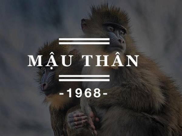 Tổng quan vận trình tuổi Mậu Thân ngày 13/2/2026