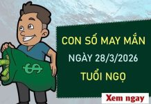 Con số may mắn hôm nay 28/3/2026 thứ 7 tuổi Ngọ Con số may mắn hôm nay 28/3/2026 thứ 7 tuổi Ngọ