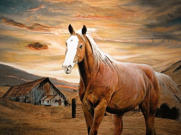 Con số may mắn hôm nay 28/3/2026 thứ 7 tuổi Ngọ