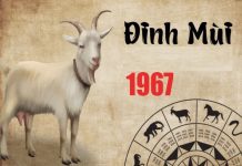 Luận ngay con số may mắn tuổi Đinh Mùi ngày 6/3 thứ 6 Luận ngay con số may mắn tuổi Đinh Mùi ngày 6/3 thứ 6