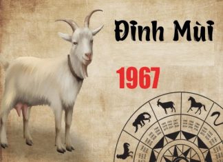 Luận ngay con số may mắn tuổi Đinh Mùi ngày 6/3 thứ 6