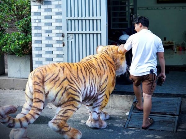 Nằm mơ thấy hổ vào nhà là điềm gì?