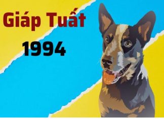 con số may mắn ngày 20/3 thứ 6 tuổi Giáp Tuất