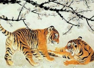 con số may mắn ngày 8/4/2026 tuổi Mậu Dần