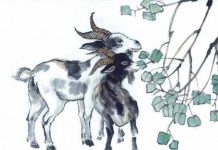 Hé lộ con số may mắn ngày 27/4/2026 tuổi Mùi kích tài lộc