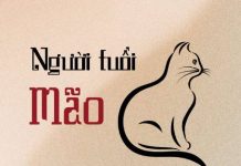 Tổng quan vận trình tài vận ngày 22/5/2026 tuổi Mão