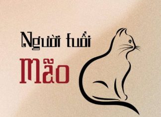 Tổng quan vận trình tài vận ngày 22/5/2026 tuổi Mão