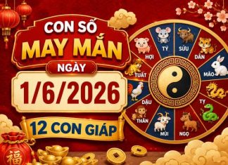 Hé lộ con số may mắn ngày 1 tháng 6 thứ 2 của 12 con giáp