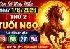 con số may mắn ngày 1/6/2026 thứ 2 tuổi Ngọ