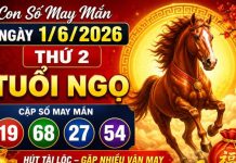 con số may mắn ngày 1/6/2026 thứ 2 tuổi Ngọ