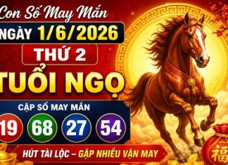 con số may mắn ngày 1/6/2026 thứ 2 tuổi Ngọ