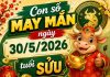 Gợi ý con số may mắn ngày 30/5/2026 tuổi Sửu cực hút lộc