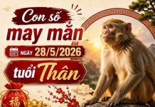 Luận giải con số may mắn ngày 28/5/2026 tuổi Thân