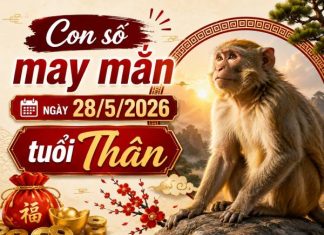 Luận giải con số may mắn ngày 28/5/2026 tuổi Thân