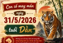 Luận giải những con số may mắn ngày 31/5/2026 tuổi Dần theo năm sinh