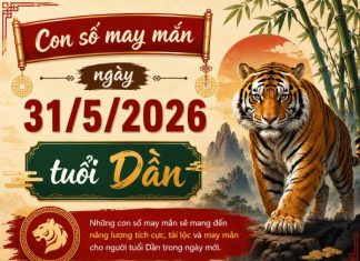 Luận giải những con số may mắn ngày 31/5/2026 tuổi Dần theo năm sinh