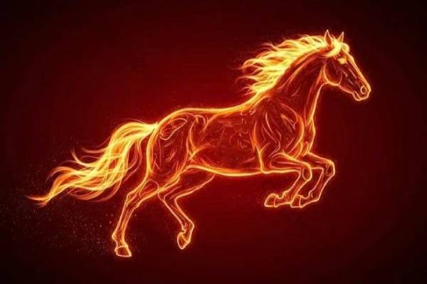 Tổng quan vận trình tử vi ngày 24/5/2026 tuổi Ngọ